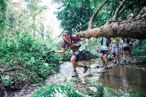 BIB: 
                            <button type="button" onclick="openModal(25454995)" class="btn btn-primary btn-sm float-right btn-popup" data-toggle="modal" data-target=".modal-high-quality">
                        <i class="fas fa-shopping-cart"></i> Add to Cart
                    </button>
                                            <button type="button" onclick="isThisMe(25454995, true)" class="btn btn-success btn-sm float-right btn-popup btn-isme hidden" data-toggle="tooltip" data-placement="bottom" title="นี่คือรูปของคุณใช่ไหม คลิกที่นี่เพื่อเอาเข้าอัลบั้ม">
                        <i class="fas fa-plus"></i> Add to album
                    </button>
                    <button type="button" onclick="isThisMe(25454995, false)" class="btn btn-warning btn-sm float-right btn-popup btn-isnotme hidden">
                        <i class="fas fa-ban"></i> Remove from album
                    </button>